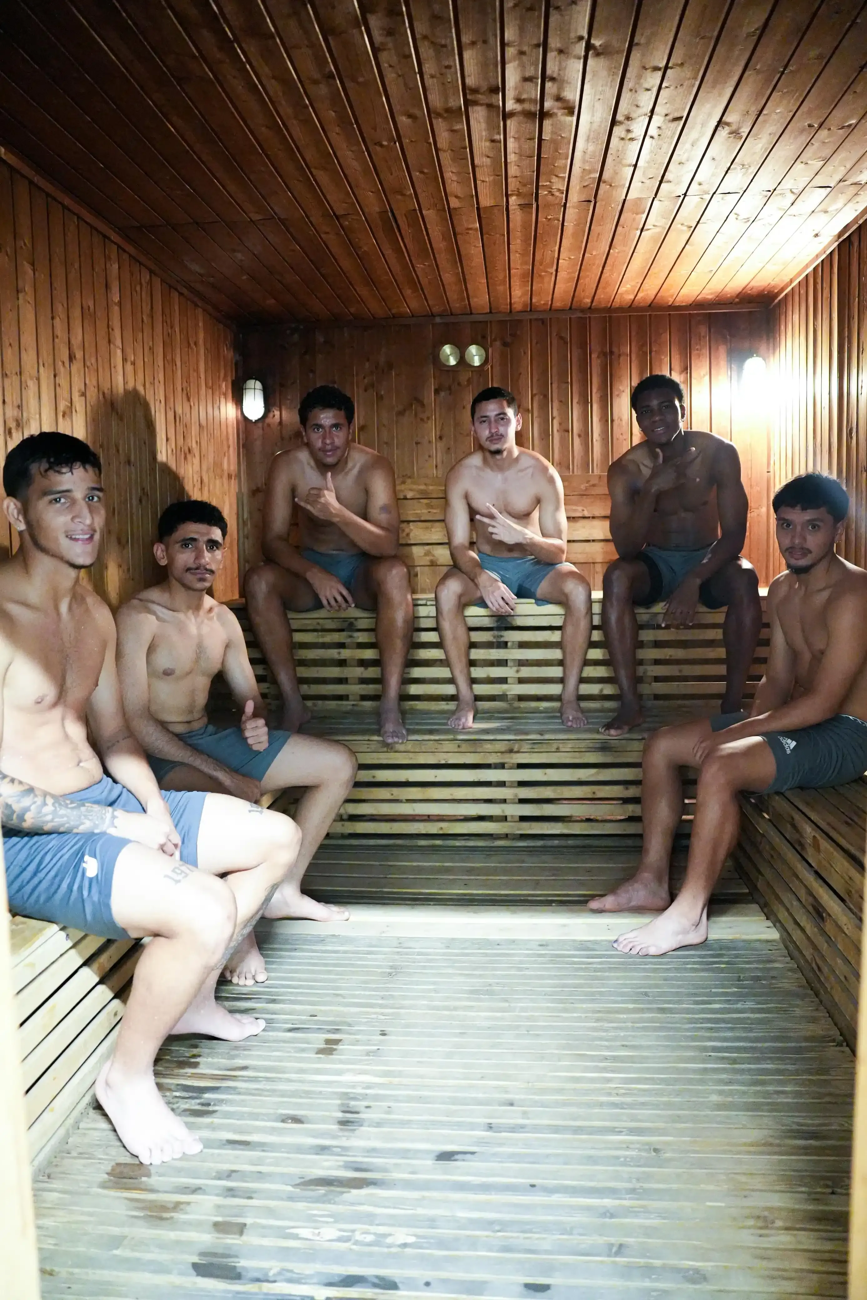Sauna AFPRO